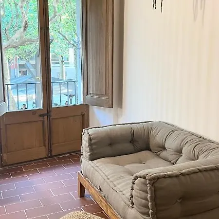 Appartement Pis Amb Molt D'encant Al Centre D'olot Olot