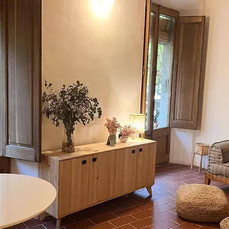 Apartment Pis Amb Molt D'encant Al Centre D'olot