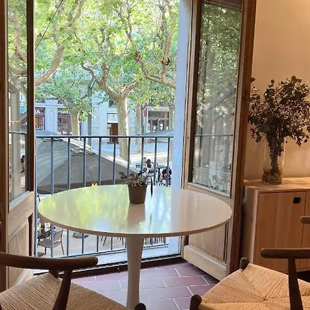 Pis Amb Molt D'encant Al Centre D'olot Apartamento