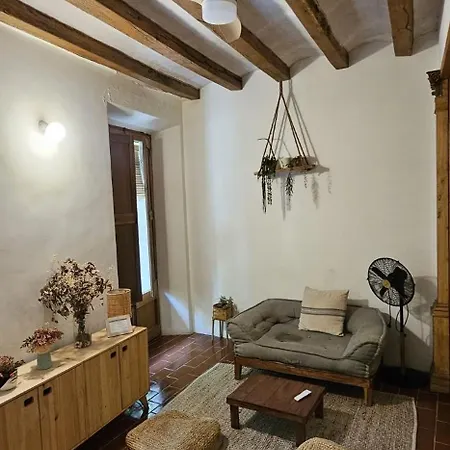 Apartamento Pis Amb Molt D'encant Al Centre D'olot *